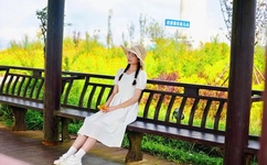 床戏直插下半身视频